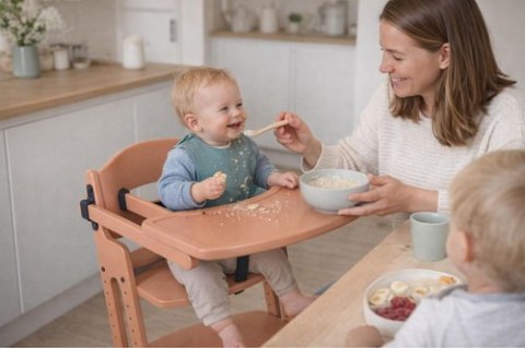 BabyDan - krzesełko do karmienia DanChair + tacka DanTray ZESTAW, mocca mousse