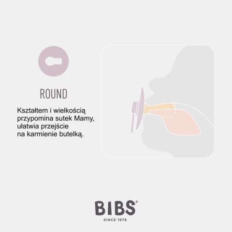 BIBS COLOUR DUSTY BLUE S Smoczek Uspokajający kauczuk Hevea