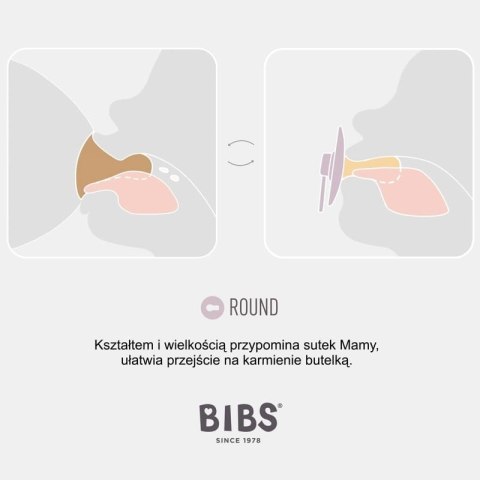 BIBS COLOUR 2-PACK BLUSH & VANILLA S Smoczek Uspokajający kauczuk Hevea