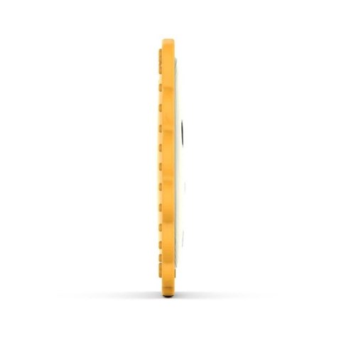 Matchstick Monkey gryzak silikonowy sensoryczny BioCote Flat Face Lion