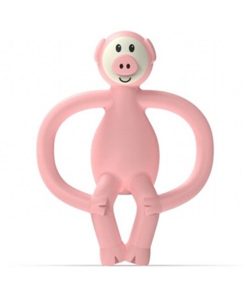Matchstick Monkey gryzak silikonowy sensoryczny z mini szczoteczką Animals Piggy