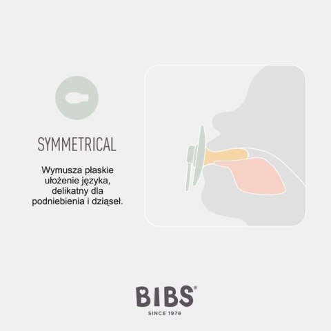 BIBS TRY-IT zestaw 3 szt smoczków niemowlęcych o różnych ustnikach BLUSH