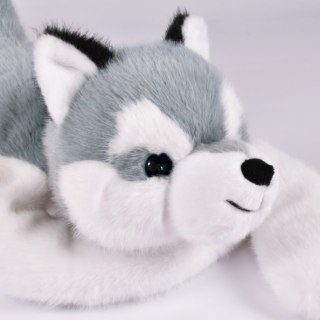 DOUDOU - obciążeniowy pluszowy pies husky Podcoll Histoire d'Ours, 50 cm, jasny szary