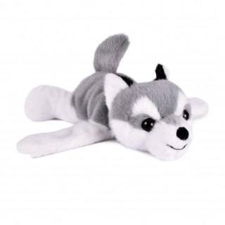 DOUDOU - pluszowa bransoletka slap husky Podcoll, Histoire d'Ours, jasny szary