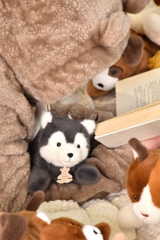 DOUDOU - obciążeniowy pluszowy wilk Les P'tits Relax, Histoire d'Ours, 22 cm, szary