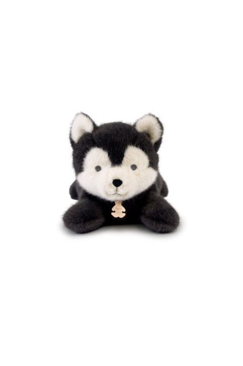 DOUDOU - obciążeniowy pluszowy wilk Les P'tits Relax, Histoire d'Ours, 22 cm, szary