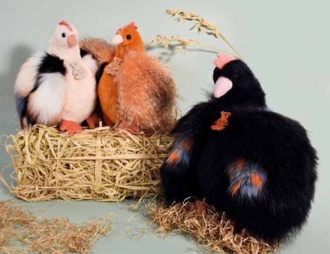 DOUDOU - przytulanka kurka Poulette, Histoire d'Ours, 28 cm, czarna