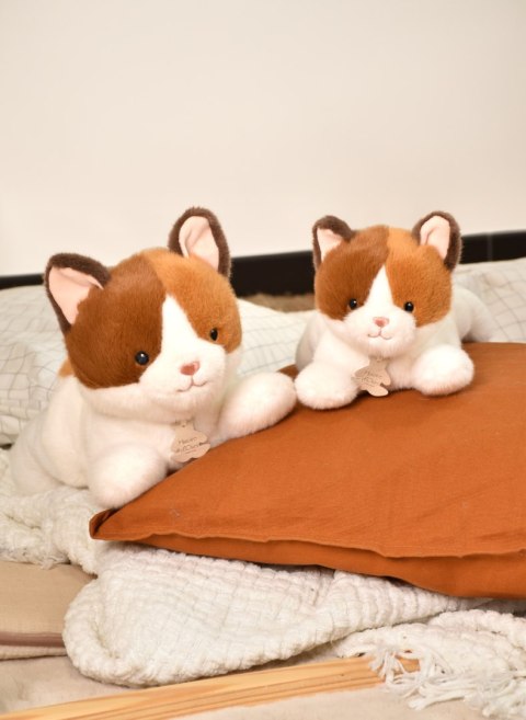 DOUDOU - obciążeniowy pluszowy kot Les P'tits Relax, Histoire d'Ours, 30 cm, rudo-biały