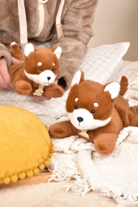 DOUDOU - obciążeniowy pluszowy lis Les P'tits Relax, Histoire d'Ours, 30 cm, rudy