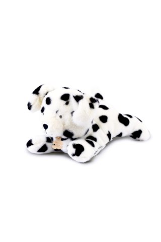 DOUDOU - obciążeniowy pluszowy pies dalmatyńczyk Les P'tits Relax, Histoire d'Ours, 22 cm, biały