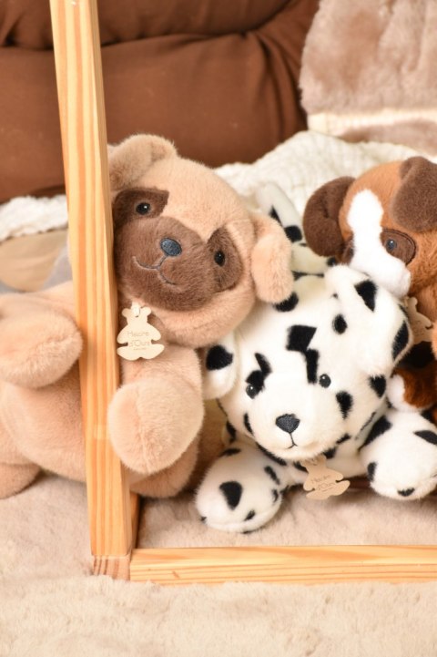 DOUDOU - obciążeniowy pluszowy pies dalmatyńczyk Les P'tits Relax, Histoire d'Ours, 22 cm, biały