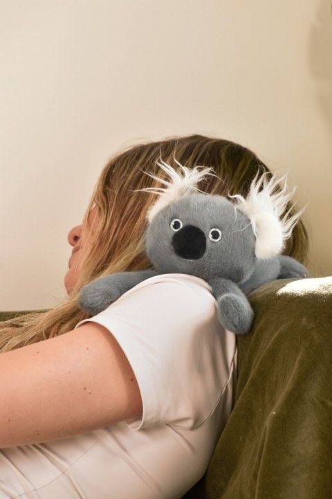 DOUDOU - przytulanka magnetyczna Podcoll Koala, Histoire d'Ours, 30 cm, szary