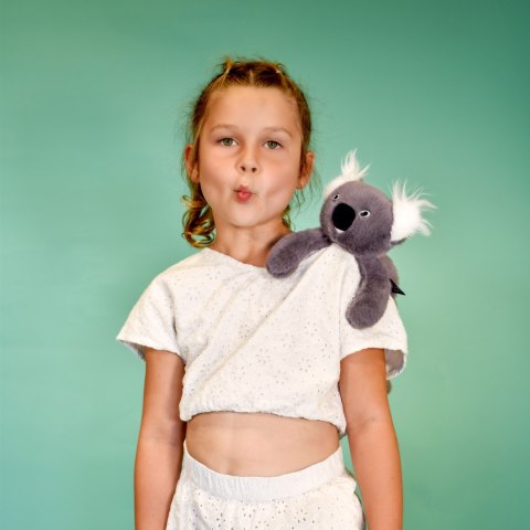 DOUDOU - przytulanka magnetyczna Podcoll Koala, Histoire d'Ours, 30 cm, szary