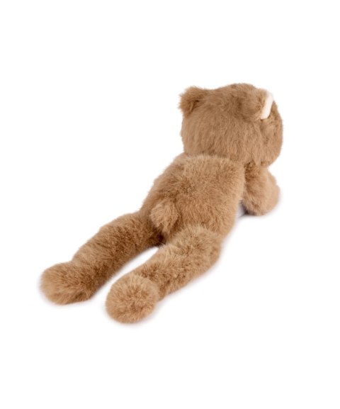 DOUDOU - przytulanka magnetyczna Podcoll Miś, Histoire d'Ours, 30 cm, brązowy