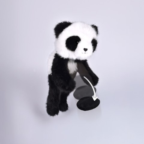 DOUDOU - przytulanka magnetyczna Podcoll Panda, Histoire d'Ours, 30 cm, czarno-biały