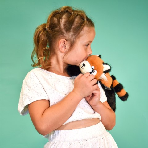 DOUDOU - przytulanka magnetyczna Podcoll Panda ruda, Histoire d'Ours, 30 cm, rudy