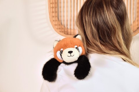 DOUDOU - przytulanka magnetyczna Podcoll Panda ruda, Histoire d'Ours, 30 cm, rudy
