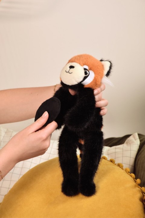 DOUDOU - przytulanka magnetyczna Podcoll Panda ruda, Histoire d'Ours, 30 cm, rudy