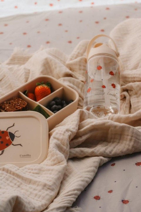Lunchbox pojemnik silikonowy Ladybug 700 ml
