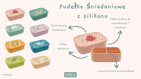 Lunchbox pojemnik silikonowy Miś SASSI