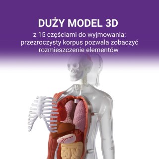 Ciało Człowieka. Interaktywny model 3D 6+, Science Can