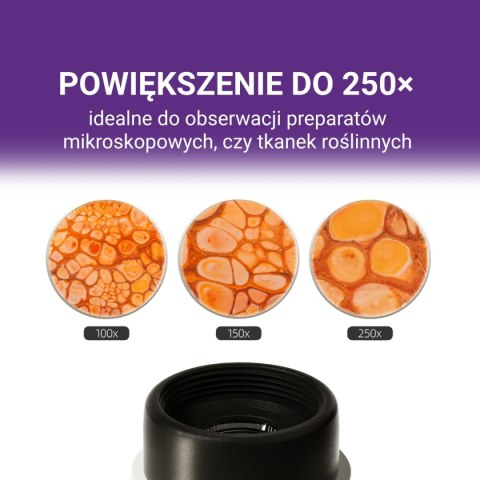 Przenośny Mikroskop Młodego Badacza 250x, 8+ Science Can